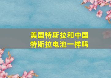 美国特斯拉和中国特斯拉电池一样吗