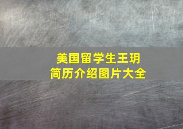 美国留学生王玥简历介绍图片大全