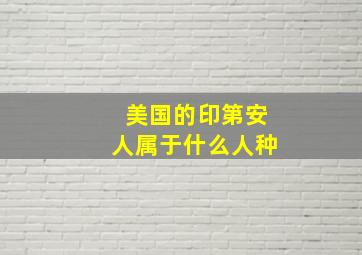 美国的印第安人属于什么人种