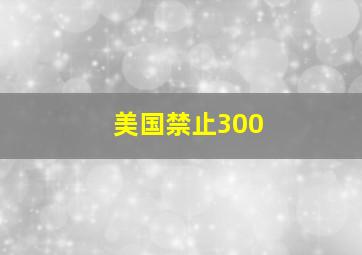 美国禁止300