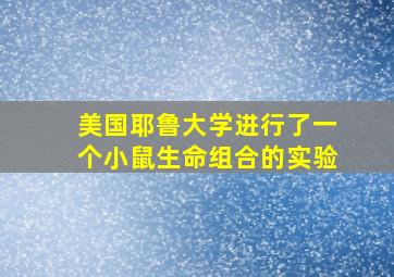 美国耶鲁大学进行了一个小鼠生命组合的实验