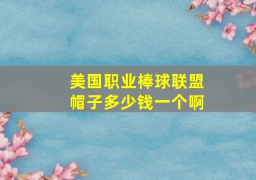 美国职业棒球联盟帽子多少钱一个啊