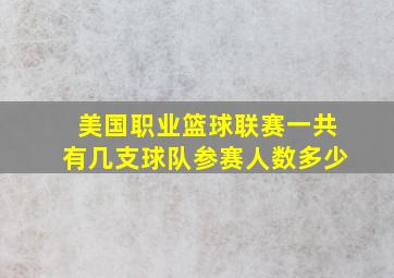 美国职业篮球联赛一共有几支球队参赛人数多少