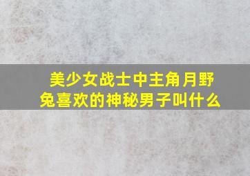 美少女战士中主角月野兔喜欢的神秘男子叫什么