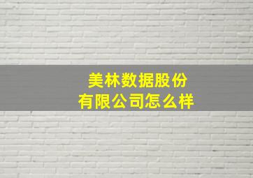 美林数据股份有限公司怎么样