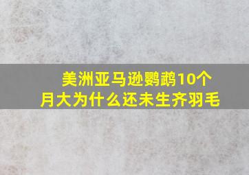 美洲亚马逊鹦鹉10个月大为什么还未生齐羽毛