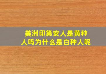 美洲印第安人是黄种人吗为什么是白种人呢