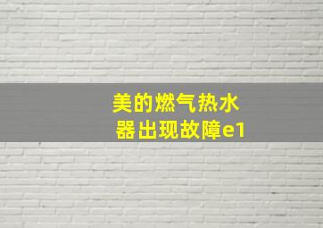 美的燃气热水器出现故障e1