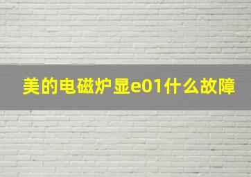 美的电磁炉显e01什么故障