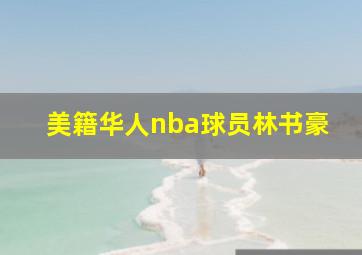 美籍华人nba球员林书豪