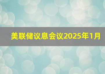 美联储议息会议2025年1月