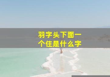 羽字头下面一个住是什么字