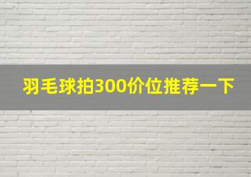 羽毛球拍300价位推荐一下