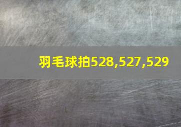 羽毛球拍528,527,529