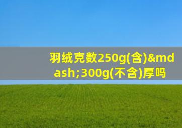 羽绒克数250g(含)—300g(不含)厚吗