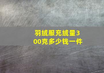 羽绒服充绒量300克多少钱一件