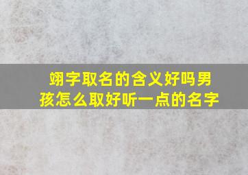 翊字取名的含义好吗男孩怎么取好听一点的名字