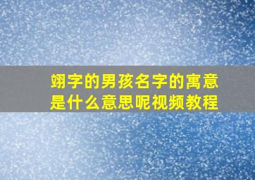 翊字的男孩名字的寓意是什么意思呢视频教程