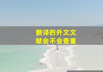 翻译的外文文献会不会查重