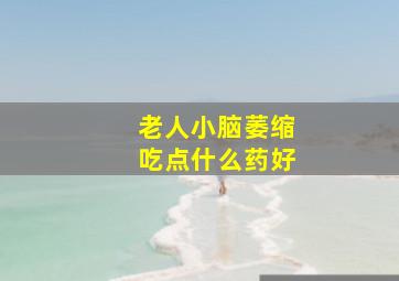 老人小脑萎缩吃点什么药好