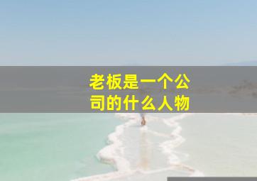 老板是一个公司的什么人物