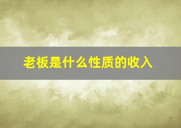 老板是什么性质的收入