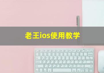 老王ios使用教学