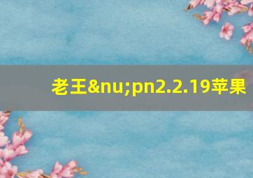 老王νpn2.2.19苹果