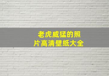 老虎威猛的照片高清壁纸大全