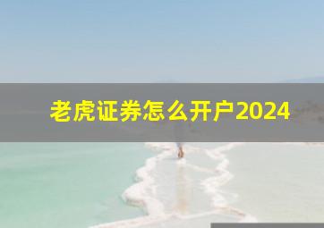 老虎证券怎么开户2024