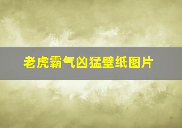 老虎霸气凶猛壁纸图片