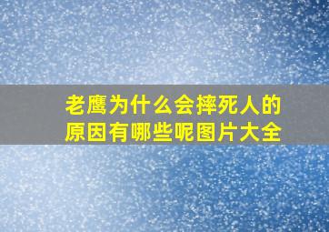 老鹰为什么会摔死人的原因有哪些呢图片大全