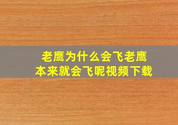 老鹰为什么会飞老鹰本来就会飞呢视频下载