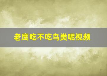 老鹰吃不吃鸟类呢视频