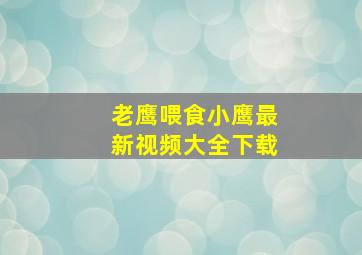 老鹰喂食小鹰最新视频大全下载