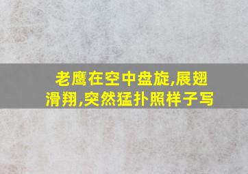 老鹰在空中盘旋,展翅滑翔,突然猛扑照样子写