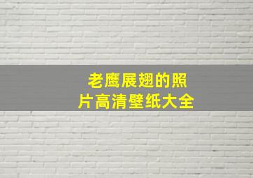 老鹰展翅的照片高清壁纸大全