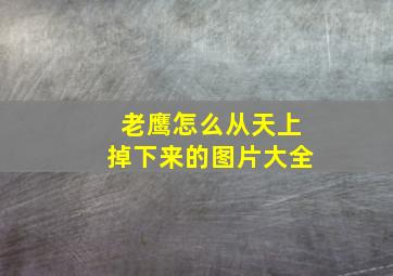 老鹰怎么从天上掉下来的图片大全