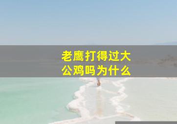 老鹰打得过大公鸡吗为什么