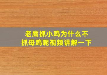 老鹰抓小鸡为什么不抓母鸡呢视频讲解一下