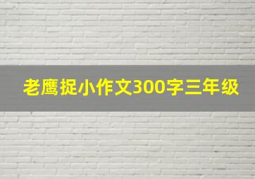 老鹰捉小作文300字三年级