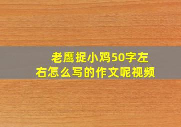 老鹰捉小鸡50字左右怎么写的作文呢视频