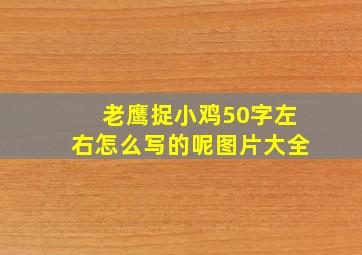 老鹰捉小鸡50字左右怎么写的呢图片大全