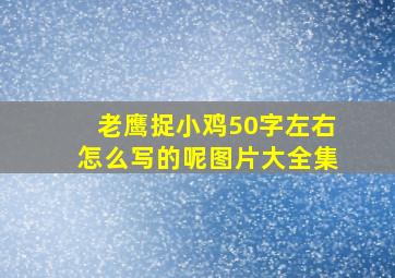 老鹰捉小鸡50字左右怎么写的呢图片大全集