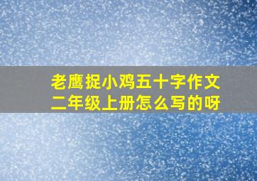 老鹰捉小鸡五十字作文二年级上册怎么写的呀