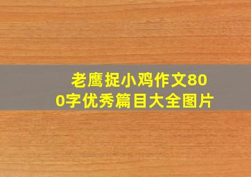 老鹰捉小鸡作文800字优秀篇目大全图片