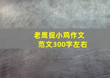 老鹰捉小鸡作文范文300字左右