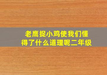 老鹰捉小鸡使我们懂得了什么道理呢二年级