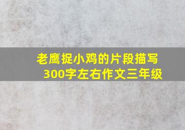 老鹰捉小鸡的片段描写300字左右作文三年级