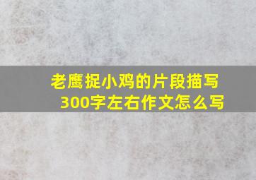 老鹰捉小鸡的片段描写300字左右作文怎么写